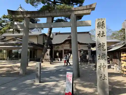 龍城神社の鳥居