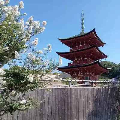 家原寺のその他建物