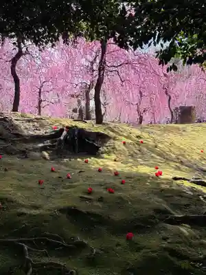 城南宮(京都府)