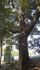 熱田神社の建物その他