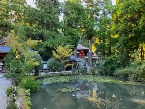 金剛證寺の庭園