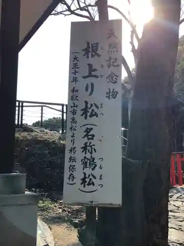 玉津島神社の自然