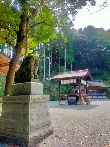 金毘羅神社の狛犬