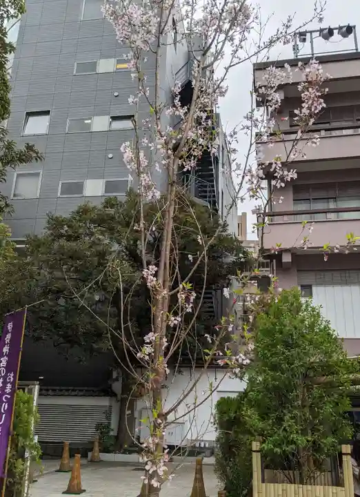 東京大神宮(東京都)