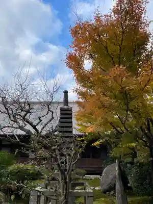 一條殿 新善光寺(京都府)