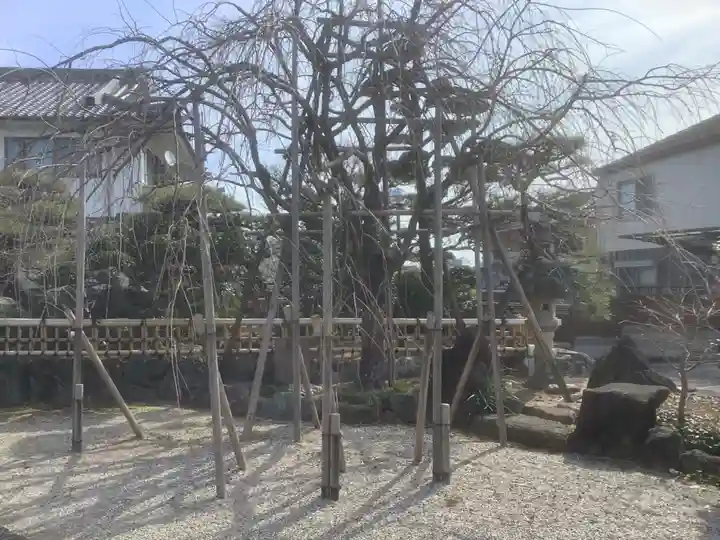 天聖寺(愛知県)