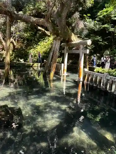 鹿島神宮(茨城県)