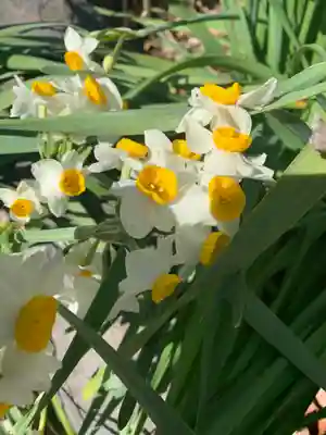 三宮明日香大社(群馬県)