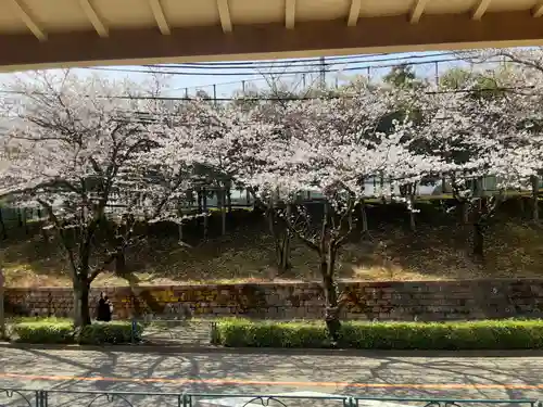 妙櫻寺(東京都)