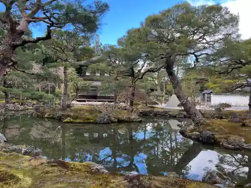 慈照寺（慈照禅寺・銀閣寺）の庭園