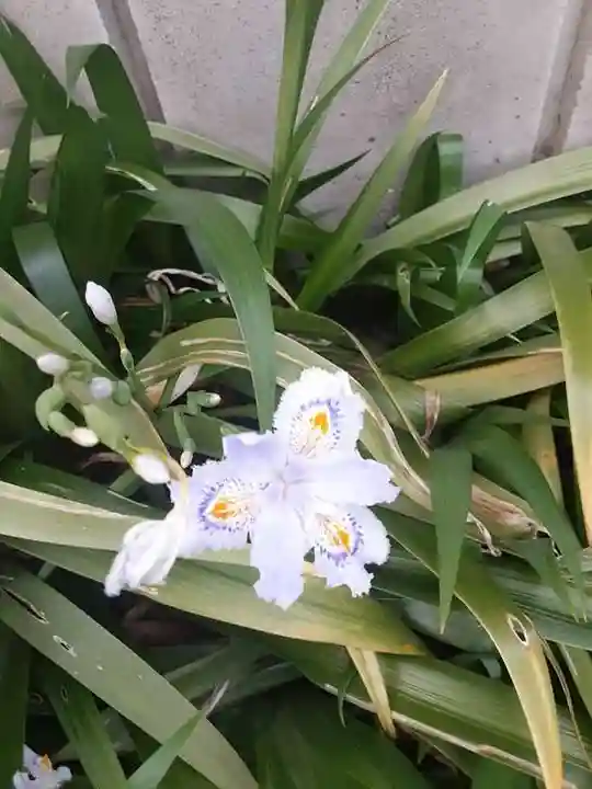 西方山極楽寺(岐阜県)