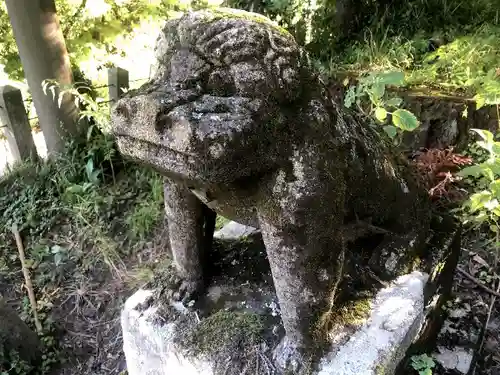 上色見熊野座神社の狛犬