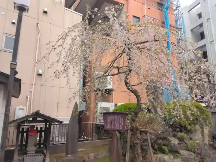 成田山不動大教会(東京都)