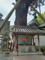 極楽寺の手水舎
