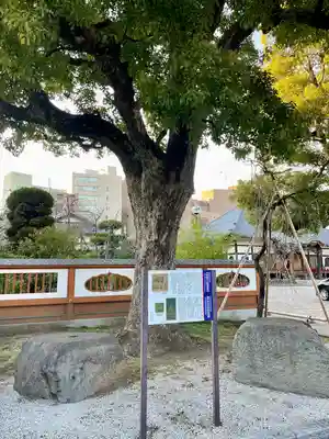 天妙国寺(東京都)
