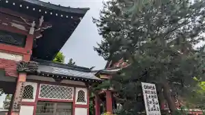 眞久寺の山門・神門