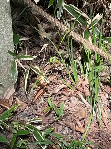 貴船神社結社の動物