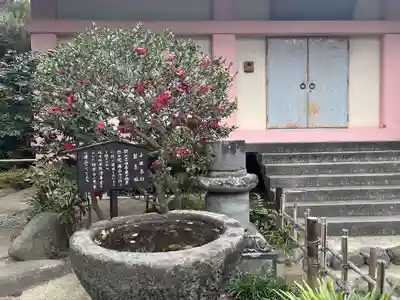 極楽寺（霊鷲山感應院極楽律寺）の手水舎