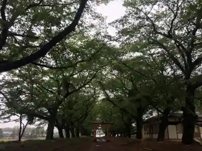 東蕗田天満社のその他建物