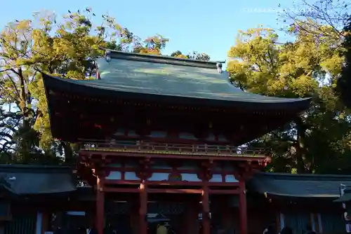 武蔵一宮氷川神社(埼玉県)