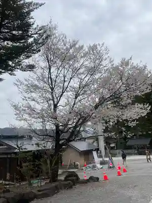 諏訪大社(長野県)