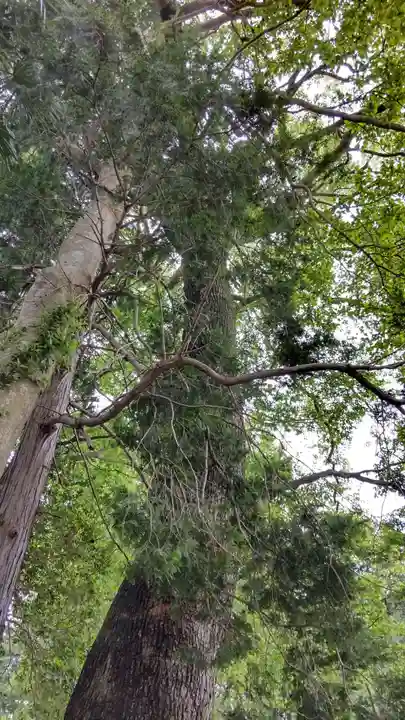 賀茂神社(滋賀県)