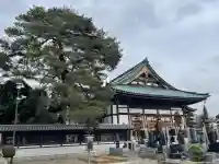 日乗院の{uncategorized: "未分類", other: "その他", undefined: "問題あり", building: "その他建物", grave: "お墓", sacred_gate: "鳥居", guardian: "狛犬", statue: "像", buddha: "仏像", history: "歴史", nature: "自然", garden: "庭園", animal: "動物", pagoda: "塔", temizu: "手水舎", mountain_gate: "山門・神門", sanctuary: "本殿・本堂", subordinate: "末社・摂社", art: "芸術", scenery: "景色", jizo: "地蔵", ema: "絵馬", goshuin: "御朱印", omikuji: "おみくじ", items: "授与品その他", amulet: "お守り", goshuincho: "御朱印帳", eats: "食事", festival: "お祭り", votive_dance: "神楽", shichigosan: "七五三参", wedding: "結婚式", experience: "体験その他", initially: "初詣", around: "周辺", anti_infection: "感染症対策"}