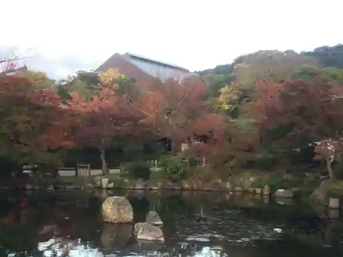 高台寺（高台寿聖禅寺・高臺寺）の庭園