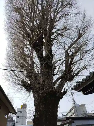圓竜寺(岐阜県)