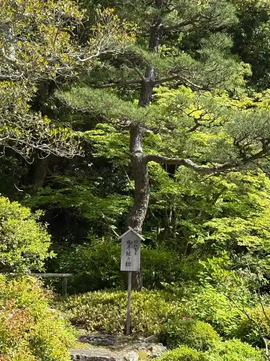 知恩院の{uncategorized: "未分類", other: "その他", undefined: "問題あり", building: "その他建物", grave: "お墓", sacred_gate: "鳥居", guardian: "狛犬", statue: "像", buddha: "仏像", history: "歴史", nature: "自然", garden: "庭園", animal: "動物", pagoda: "塔", temizu: "手水舎", mountain_gate: "山門・神門", sanctuary: "本殿・本堂", subordinate: "末社・摂社", art: "芸術", scenery: "景色", jizo: "地蔵", ema: "絵馬", goshuin: "御朱印", omikuji: "おみくじ", items: "授与品その他", amulet: "お守り", goshuincho: "御朱印帳", eats: "食事", festival: "お祭り", votive_dance: "神楽", shichigosan: "七五三参", wedding: "結婚式", experience: "体験その他", initially: "初詣", around: "周辺", anti_infection: "感染症対策"}