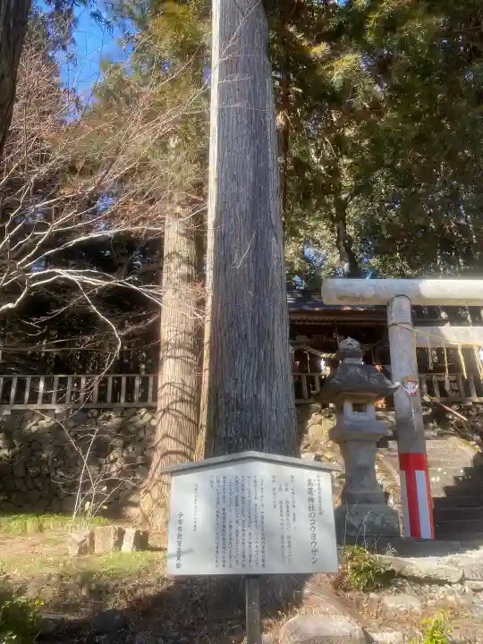 日光大室高龗神社の{uncategorized: "未分類", other: "その他", undefined: "問題あり", building: "その他建物", grave: "お墓", sacred_gate: "鳥居", guardian: "狛犬", statue: "像", buddha: "仏像", history: "歴史", nature: "自然", garden: "庭園", animal: "動物", pagoda: "塔", temizu: "手水舎", mountain_gate: "山門・神門", sanctuary: "本殿・本堂", subordinate: "末社・摂社", art: "芸術", scenery: "景色", jizo: "地蔵", ema: "絵馬", goshuin: "御朱印", omikuji: "おみくじ", items: "授与品その他", amulet: "お守り", goshuincho: "御朱印帳", eats: "食事", festival: "お祭り", votive_dance: "神楽", shichigosan: "七五三参", wedding: "結婚式", experience: "体験その他", initially: "初詣", around: "周辺", anti_infection: "感染症対策"}