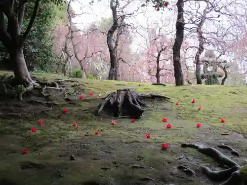 城南宮(京都府)