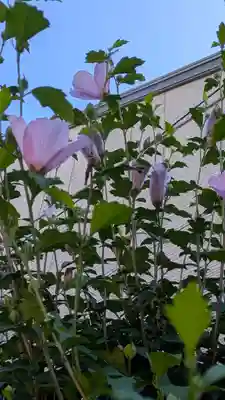 西林寺(京都府)