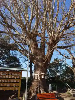 白子神社(千葉県)