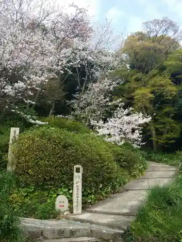 長保寺の庭園