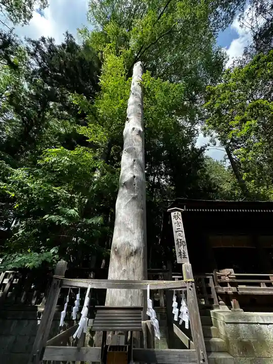 諏訪大社下社秋宮(長野県)