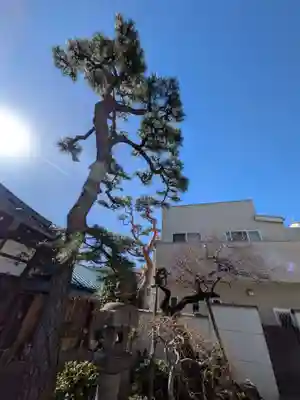 永心寺(東京都)