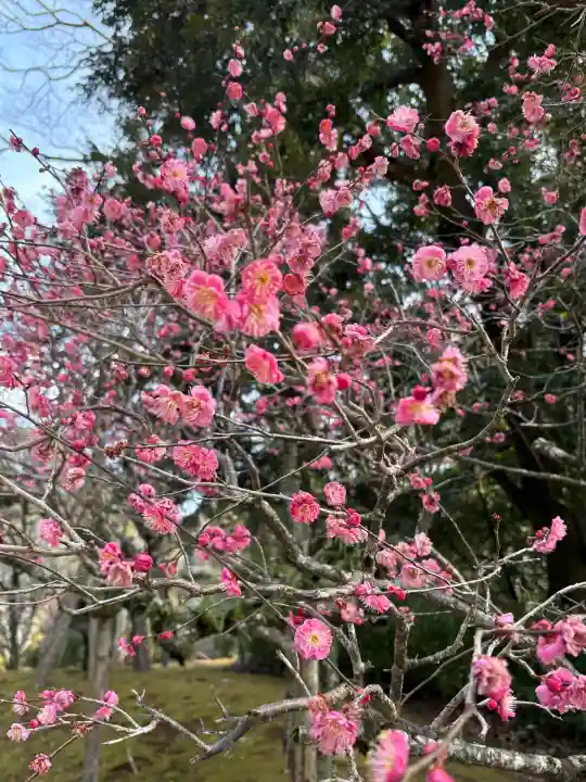 成田山平和大塔の{uncategorized: "未分類", other: "その他", undefined: "問題あり", building: "その他建物", grave: "お墓", sacred_gate: "鳥居", guardian: "狛犬", statue: "像", buddha: "仏像", history: "歴史", nature: "自然", garden: "庭園", animal: "動物", pagoda: "塔", temizu: "手水舎", mountain_gate: "山門・神門", sanctuary: "本殿・本堂", subordinate: "末社・摂社", art: "芸術", scenery: "景色", jizo: "地蔵", ema: "絵馬", goshuin: "御朱印", omikuji: "おみくじ", items: "授与品その他", amulet: "お守り", goshuincho: "御朱印帳", eats: "食事", festival: "お祭り", votive_dance: "神楽", shichigosan: "七五三参", wedding: "結婚式", experience: "体験その他", initially: "初詣", around: "周辺", anti_infection: "感染症対策"}