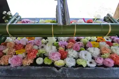 草加神社(埼玉県)