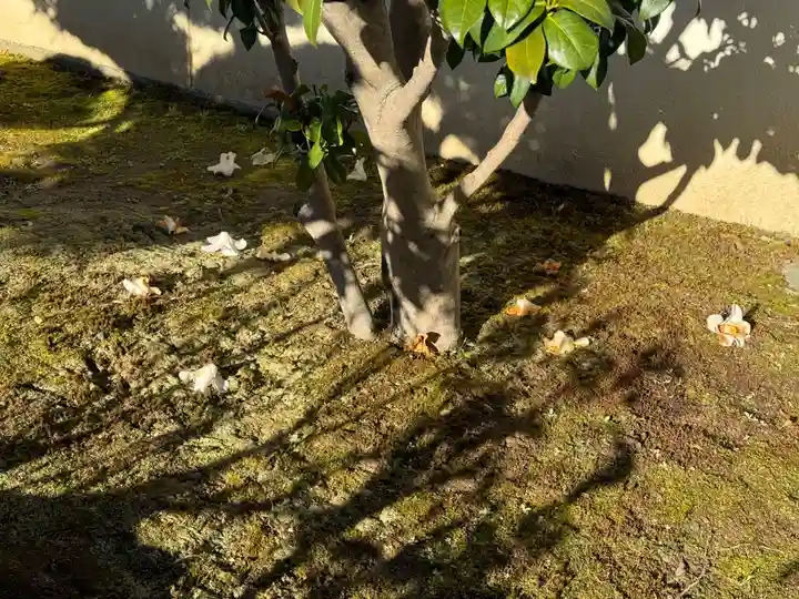 西方山極楽寺(岐阜県)