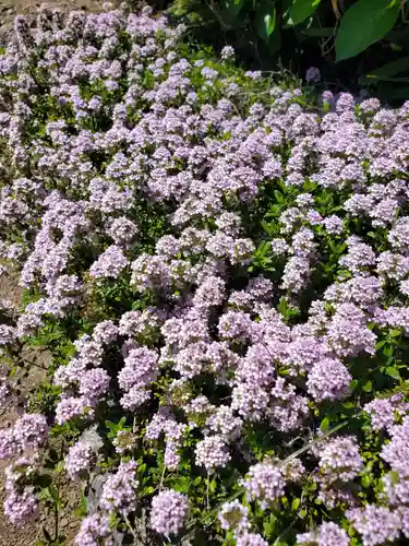 金福寺(福島県)