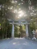 武雄神社の{uncategorized: "未分類", other: "その他", undefined: "問題あり", building: "その他建物", grave: "お墓", sacred_gate: "鳥居", guardian: "狛犬", statue: "像", buddha: "仏像", history: "歴史", nature: "自然", garden: "庭園", animal: "動物", pagoda: "塔", temizu: "手水舎", mountain_gate: "山門・神門", sanctuary: "本殿・本堂", subordinate: "末社・摂社", art: "芸術", scenery: "景色", jizo: "地蔵", ema: "絵馬", goshuin: "御朱印", omikuji: "おみくじ", items: "授与品その他", amulet: "お守り", goshuincho: "御朱印帳", eats: "食事", festival: "お祭り", votive_dance: "神楽", shichigosan: "七五三参", wedding: "結婚式", experience: "体験その他", initially: "初詣", around: "周辺", anti_infection: "感染症対策"}
