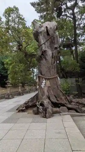 住吉大社(大阪府)