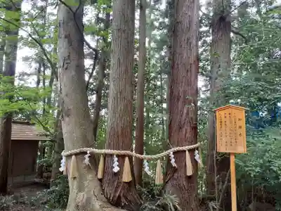 宇那禰神社(宮城県)
