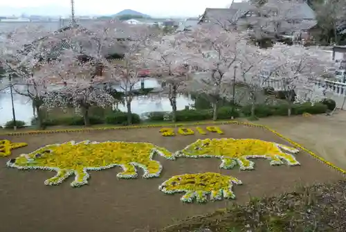 安倍文殊院 の庭園