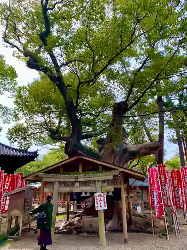 住吉大社(大阪府)