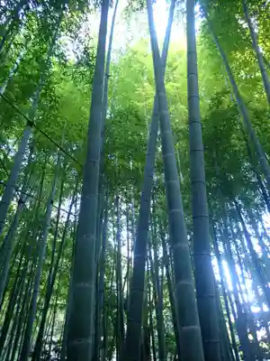 杉本寺(神奈川県)