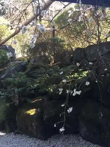報国寺(神奈川県)