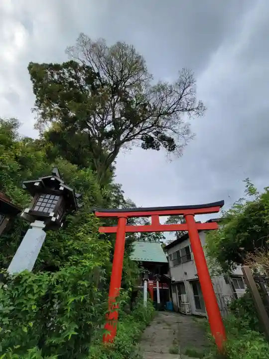 東山稲荷神社の鳥居