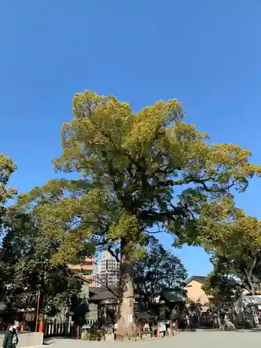 正八幡宮(福岡県)